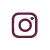 instagram icon